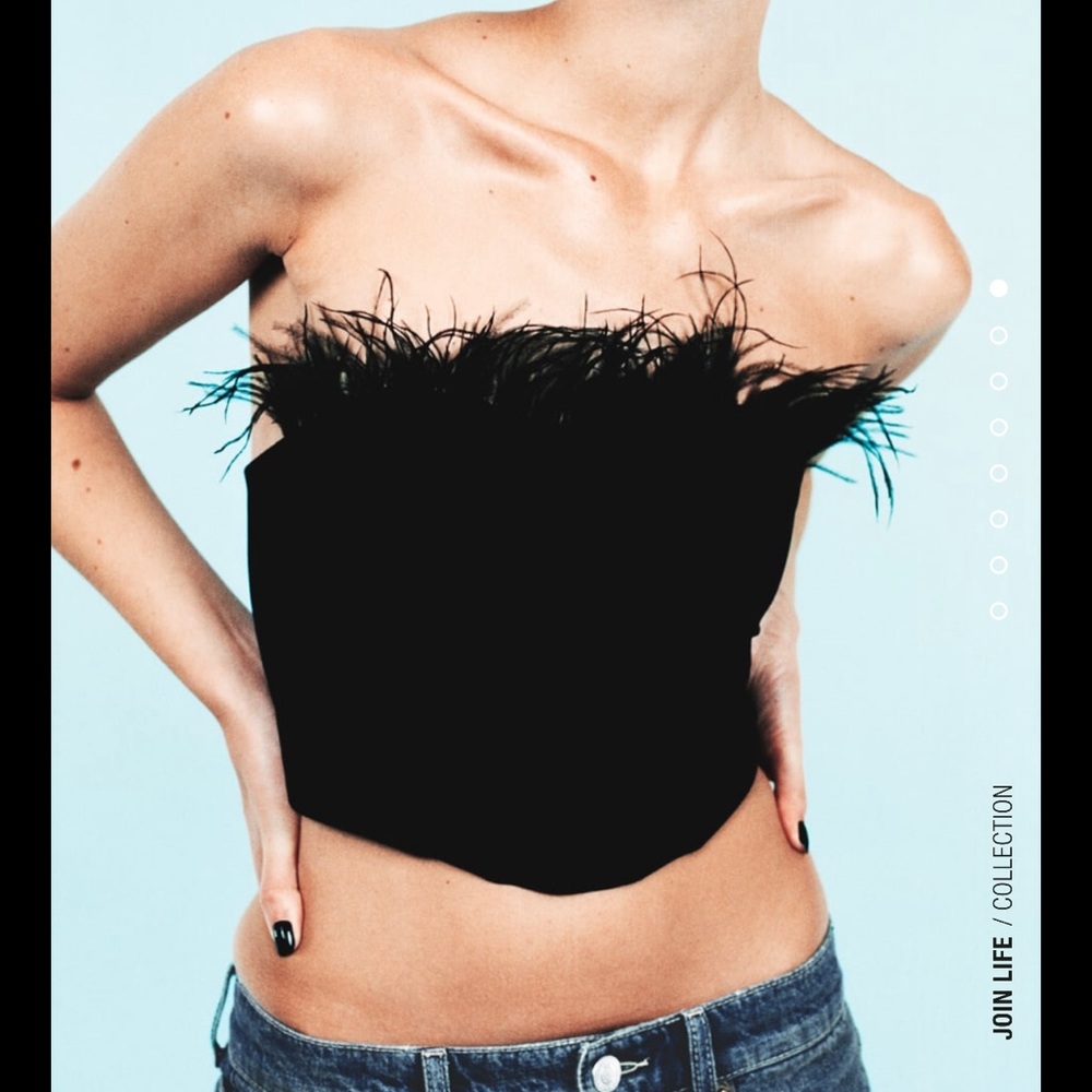 NWT Zara Feather Corset Top